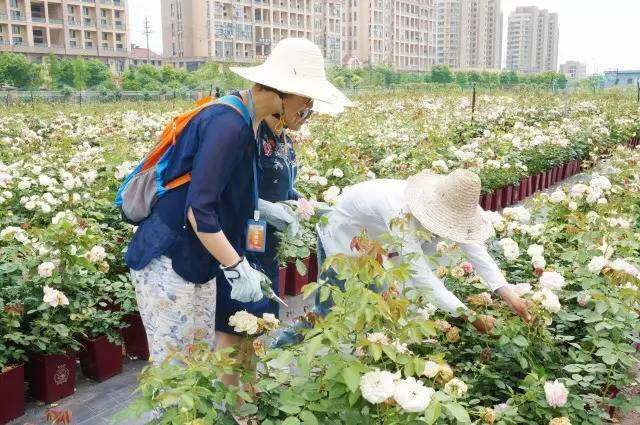 1495762527131348EAnW.jpg 1495762527131348EAnW.jpg